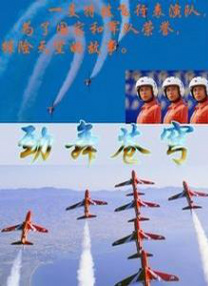 成人公开免费视频